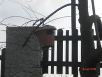 CIMG3593.webp