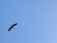 16042010219.webp