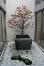 acer_herbst.webp