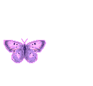cedea8846ab8fa420c8ee6a80126b022.gif