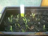 JD800005.webp