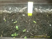 JD800008.webp