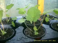 JD800014.webp