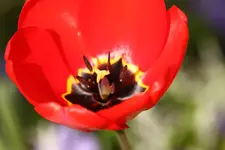 IMG_9003.webp