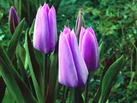 P1030450_Kopie.webp