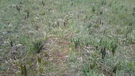 Satio 042.webp