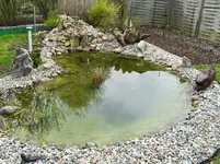 Frühling.webp
