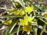 17.4.2010 001.webp