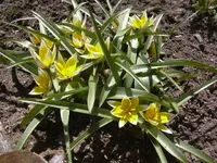 17.4.2010 003.webp