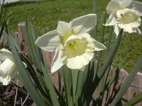 17.4.2010 011.webp
