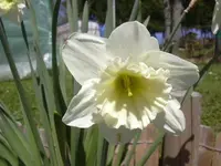 17.4.2010 012.webp