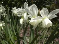 17.4.2010 016.webp