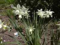 17.4.2010 017.webp
