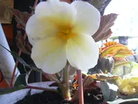 17.4.2010 021.webp