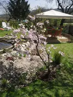 17.4.2010 013.webp
