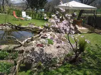 17.4.2010 014.webp