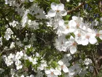 17.4.2010 006.webp