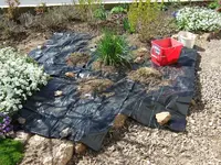 gräserbeet folie.webp