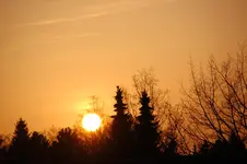 DSC_4884.webp