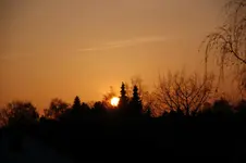DSC_4886.webp