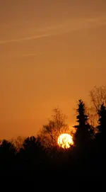 DSC_4890.webp