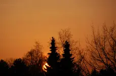 DSC_4894.webp
