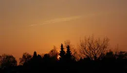 DSC_4895.webp