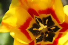 DSC02572.webp