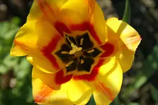 DSC02573.webp