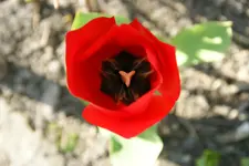 DSC02574.webp