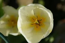 DSC02575.webp