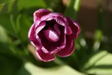 DSC02576.webp