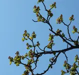 P1030391.webp