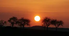 Revier 16.04 (3).webp