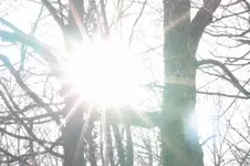 Revier 17.04 (16).webp