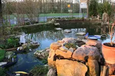 Garten 18.04 (6).webp
