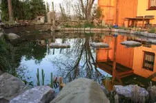 Garten 18.04 (4).webp