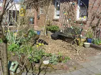 Fotos 002.webp