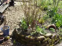 Fotos 009.webp