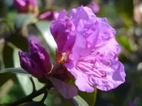 Fotos 028.webp