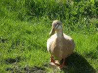 Fotos 032.webp