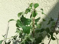 DSCF8165.webp
