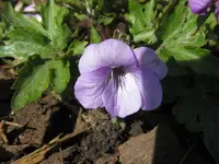IMG_3656_1024x768.webp