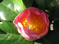IMG_3659_1024x768.webp