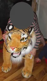 IMGP2109.webp