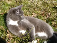 IMGP2280.webp