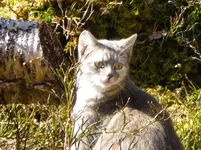 IMGP2292.webp