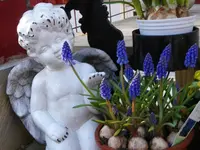 IMGP2342.webp