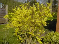 PICT0306.webp