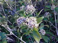 PICT0307.webp